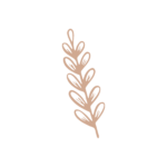 Fleur3